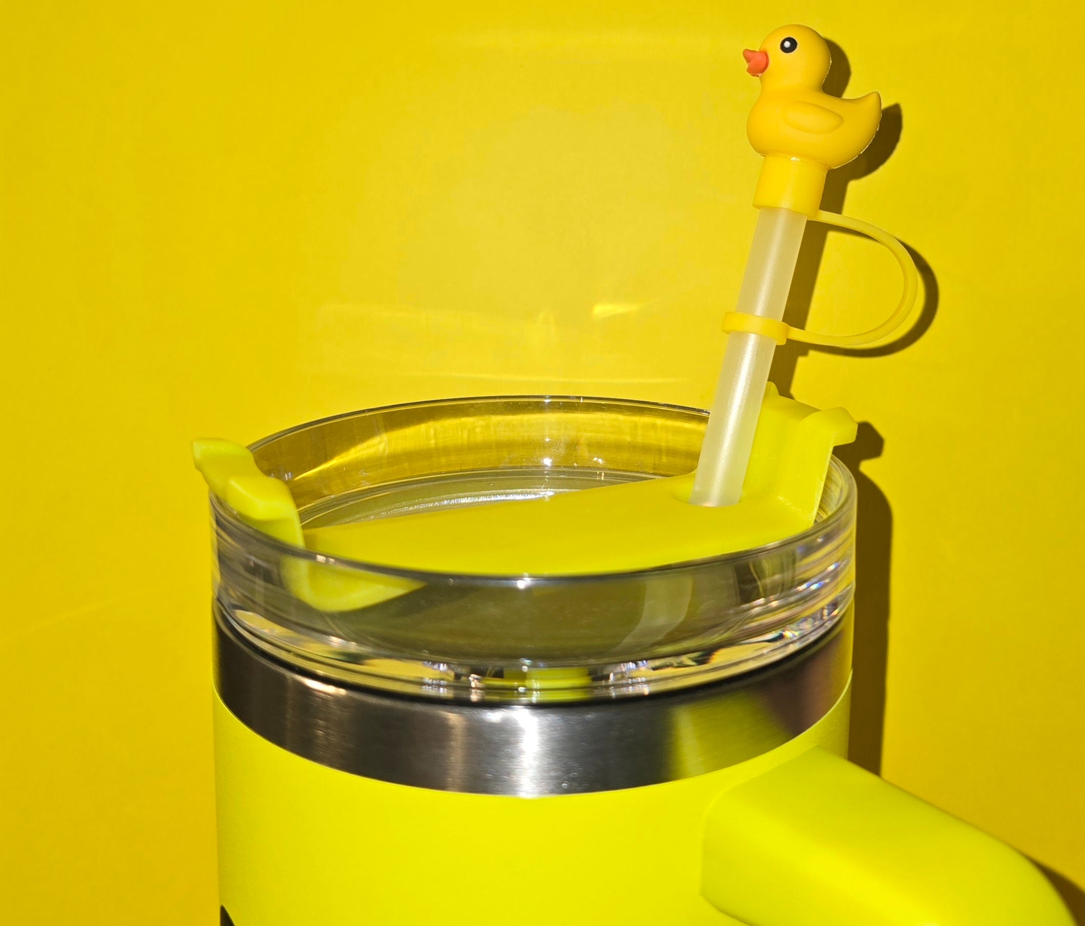 Just the Lid