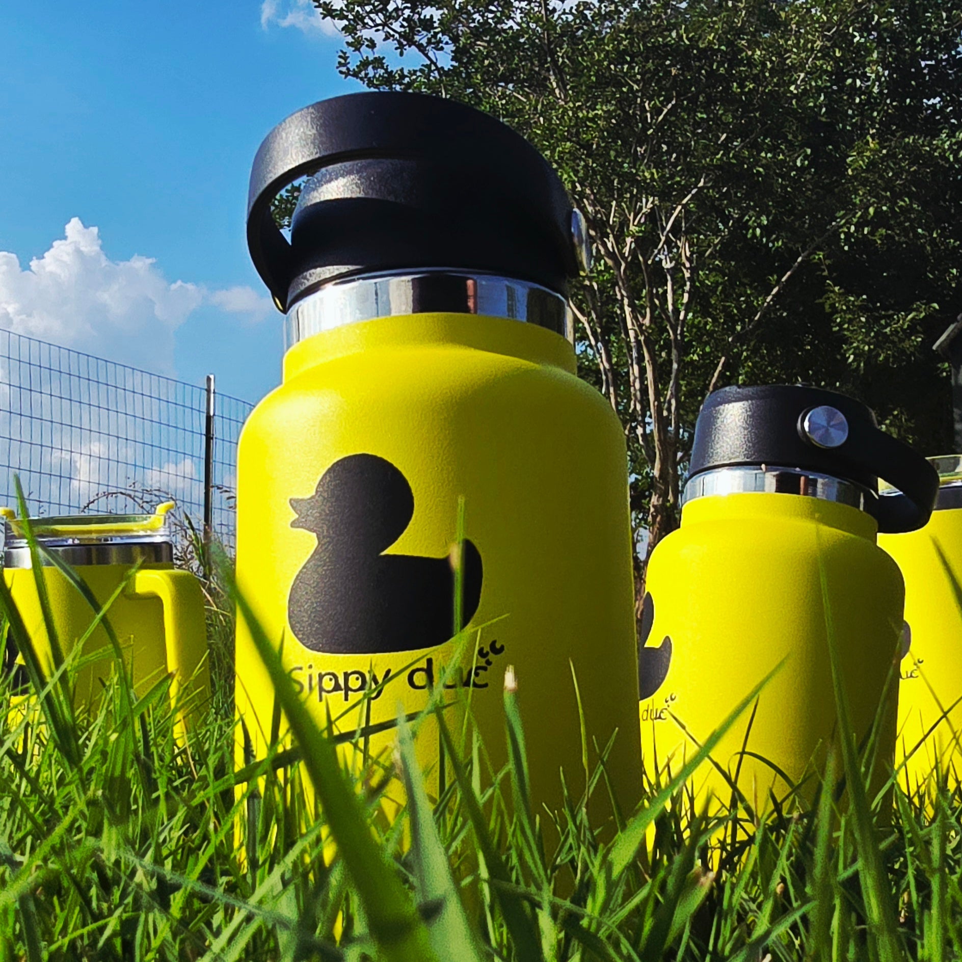 Sippy duc🫧 32oz Vacuum Insulated Water Bottle